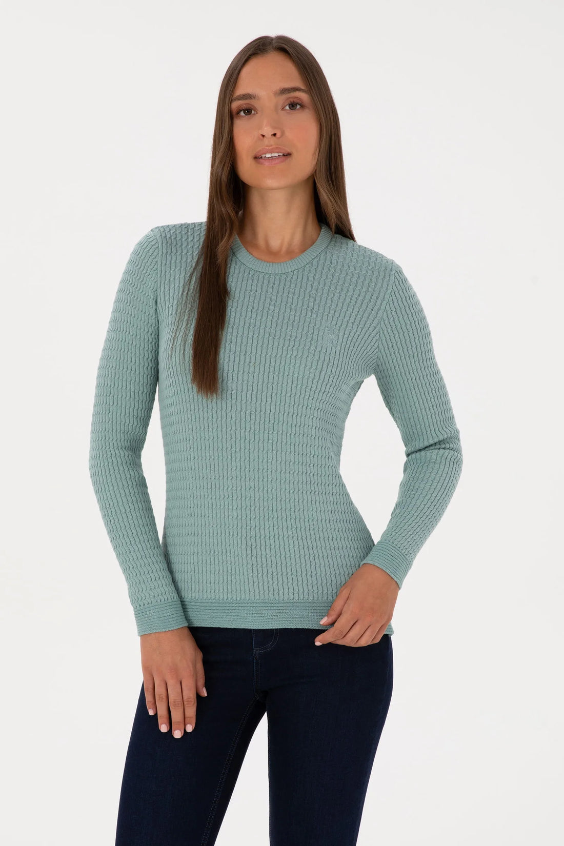 U.S. Polo Assn._Mint_Knitting Jumper Basic_G082SZ0TK0 2226393_VR090_01