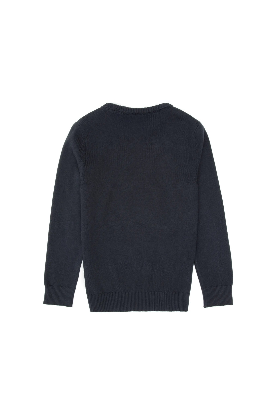 U.S. Polo Assn._Navy Blue_Knitting Jumper Basic_G083SZ0TK0 2227624_VR033_02