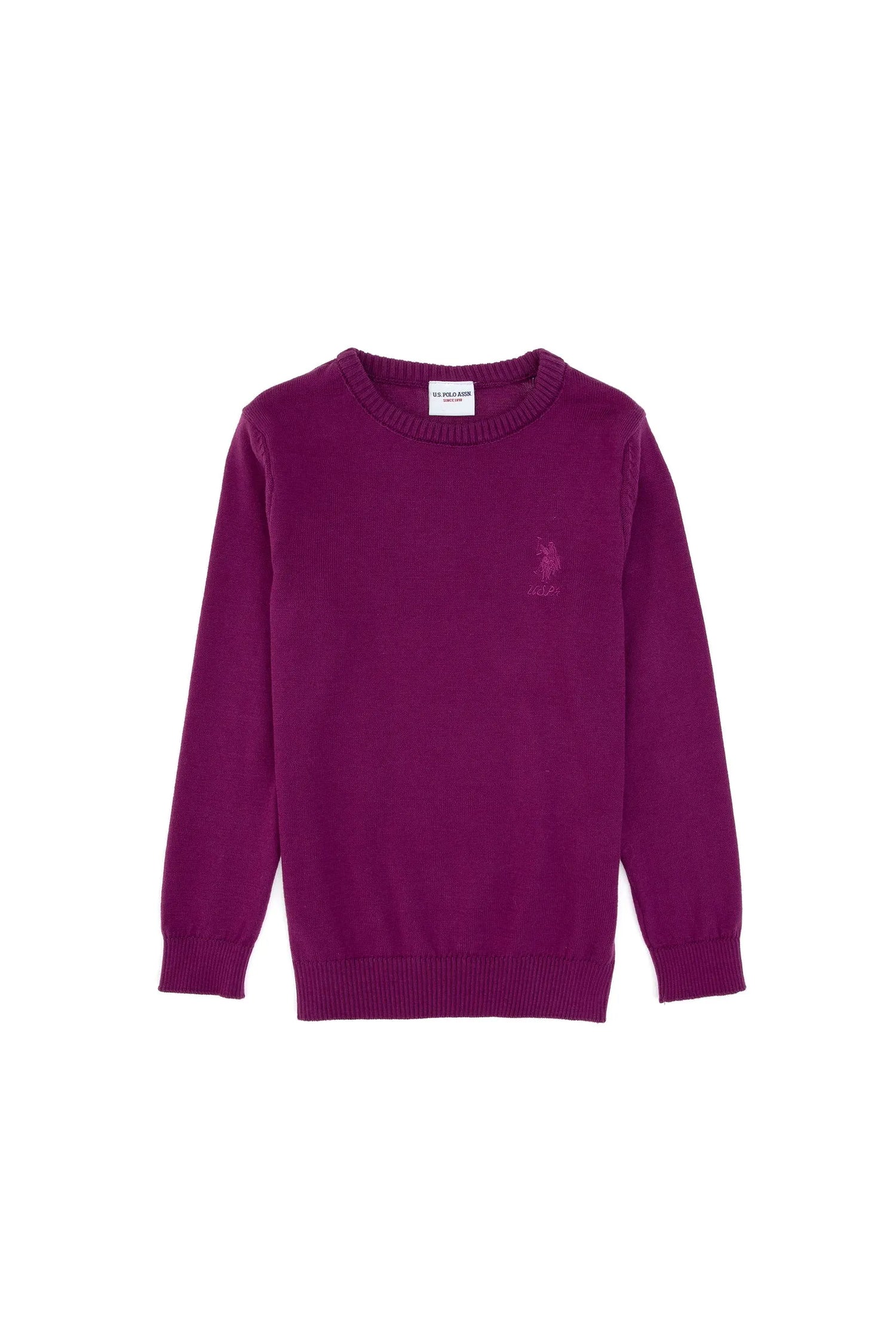 U.S. Polo Assn._Violet_Knitting Jumper Basic_G084SZ0TK0 PU-7775_VR037_01