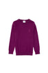 U.S. Polo Assn._Violet_Knitting Jumper Basic_G084SZ0TK0 PU-7775_VR037_01