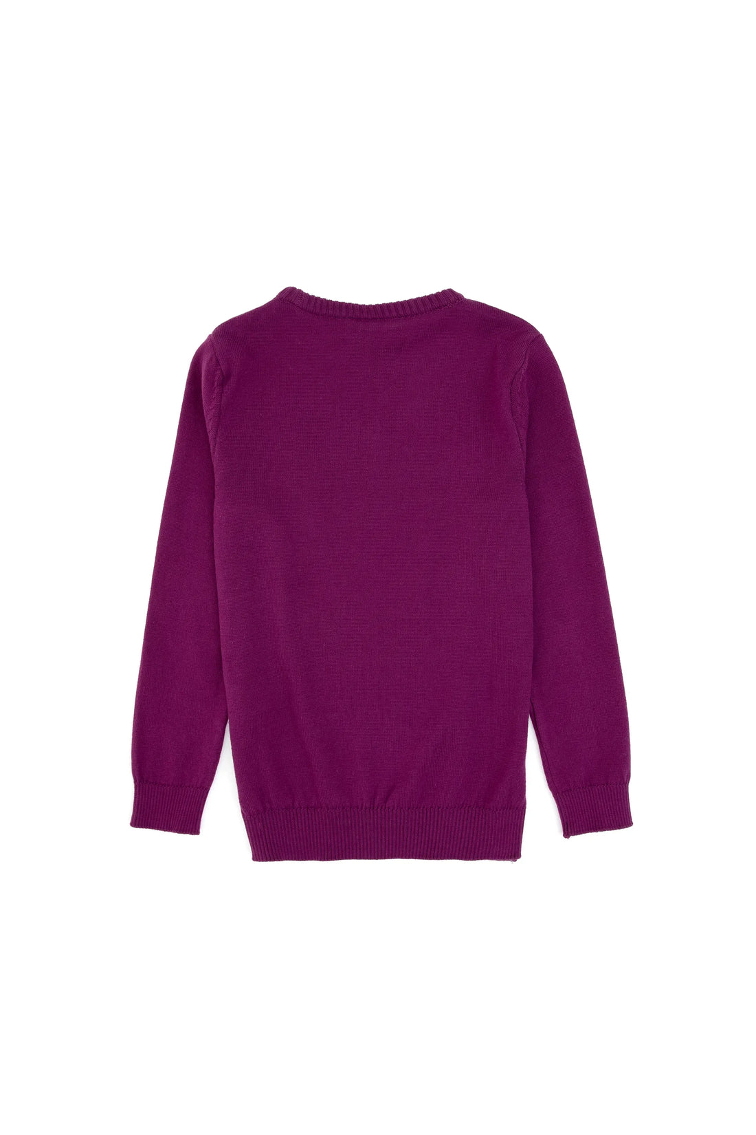 U.S. Polo Assn._Violet_Knitting Jumper Basic_G084SZ0TK0 PU-7775_VR037_02