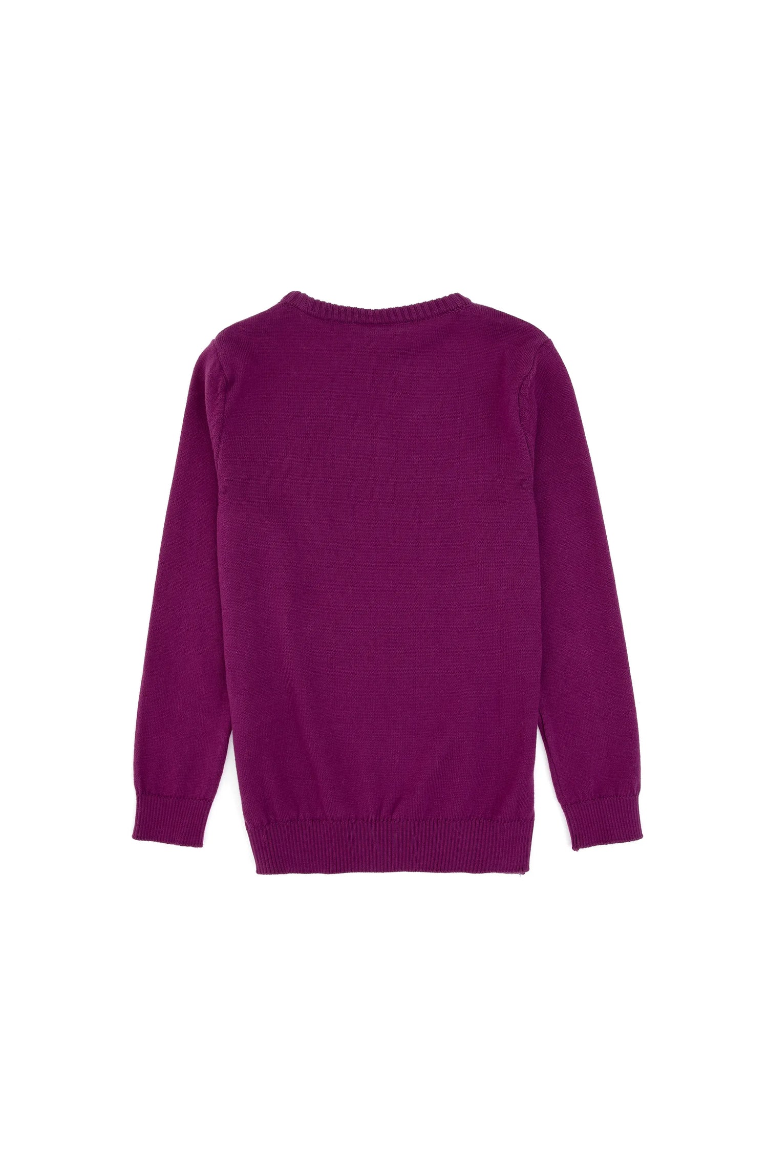 U.S. Polo Assn._Violet_Knitting Jumper Basic_G084SZ0TK0 PU-7775_VR037_02