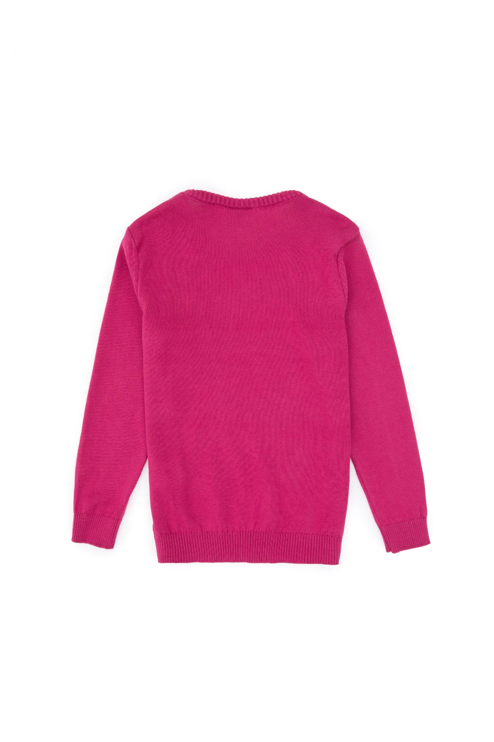 U.S. Polo Assn._Pink_Knitting Jumper Basic_G084SZ0TK0 PU-7775_VR041_02