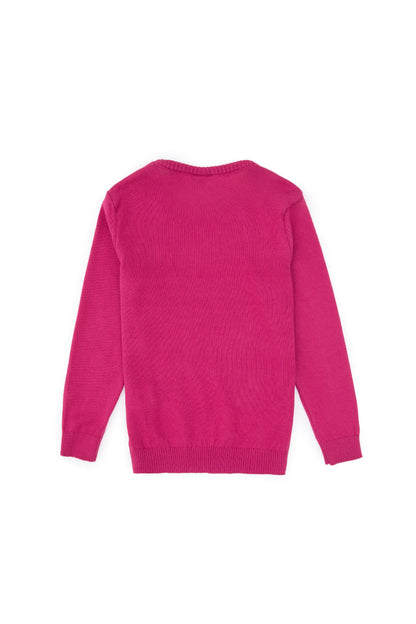 U.S. Polo Assn._Pink_Knitting Jumper Basic_G084SZ0TK0 PU-7775_VR041_02