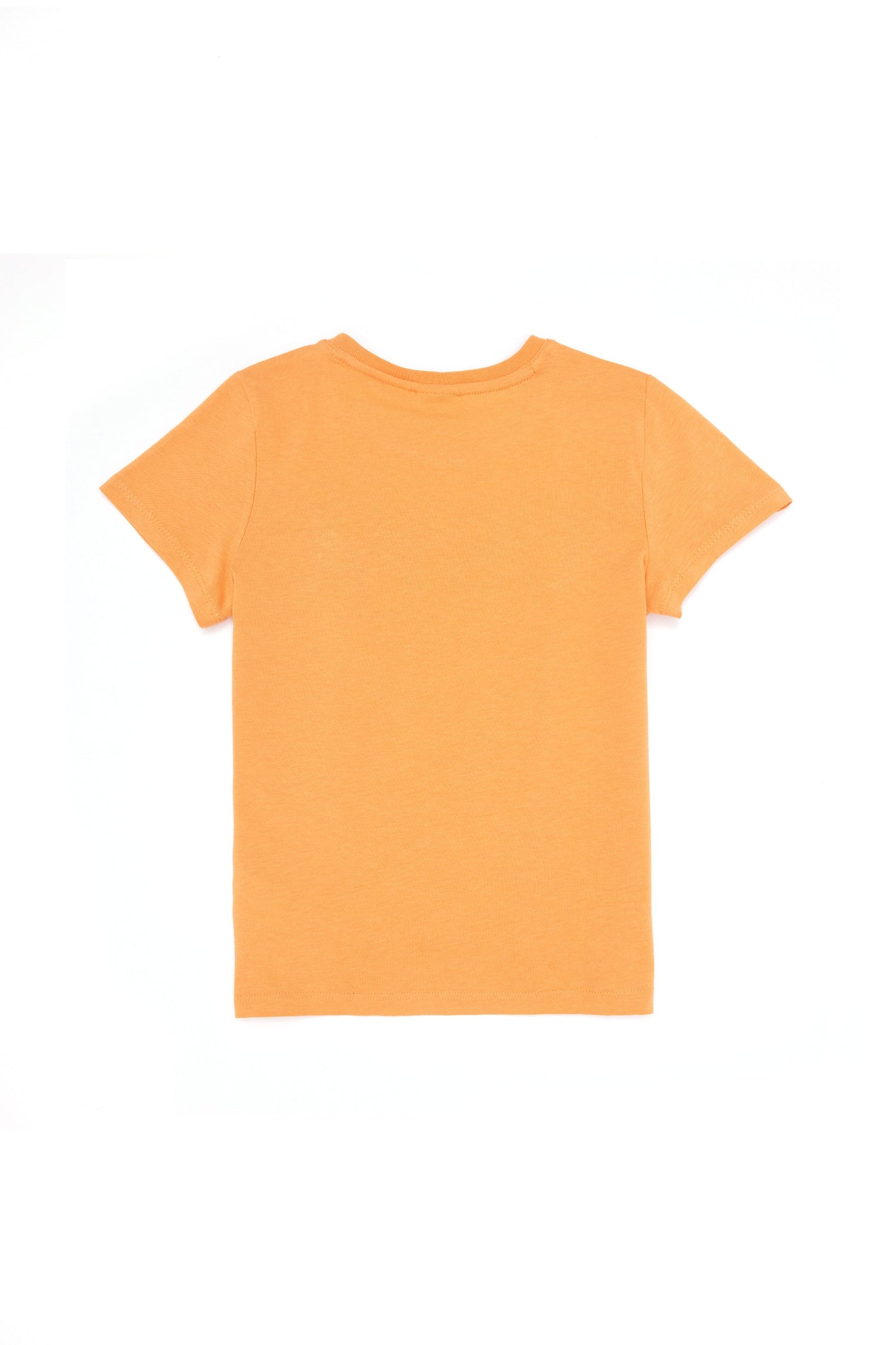 Orange Short Sleeve T-Shirt With Graphics